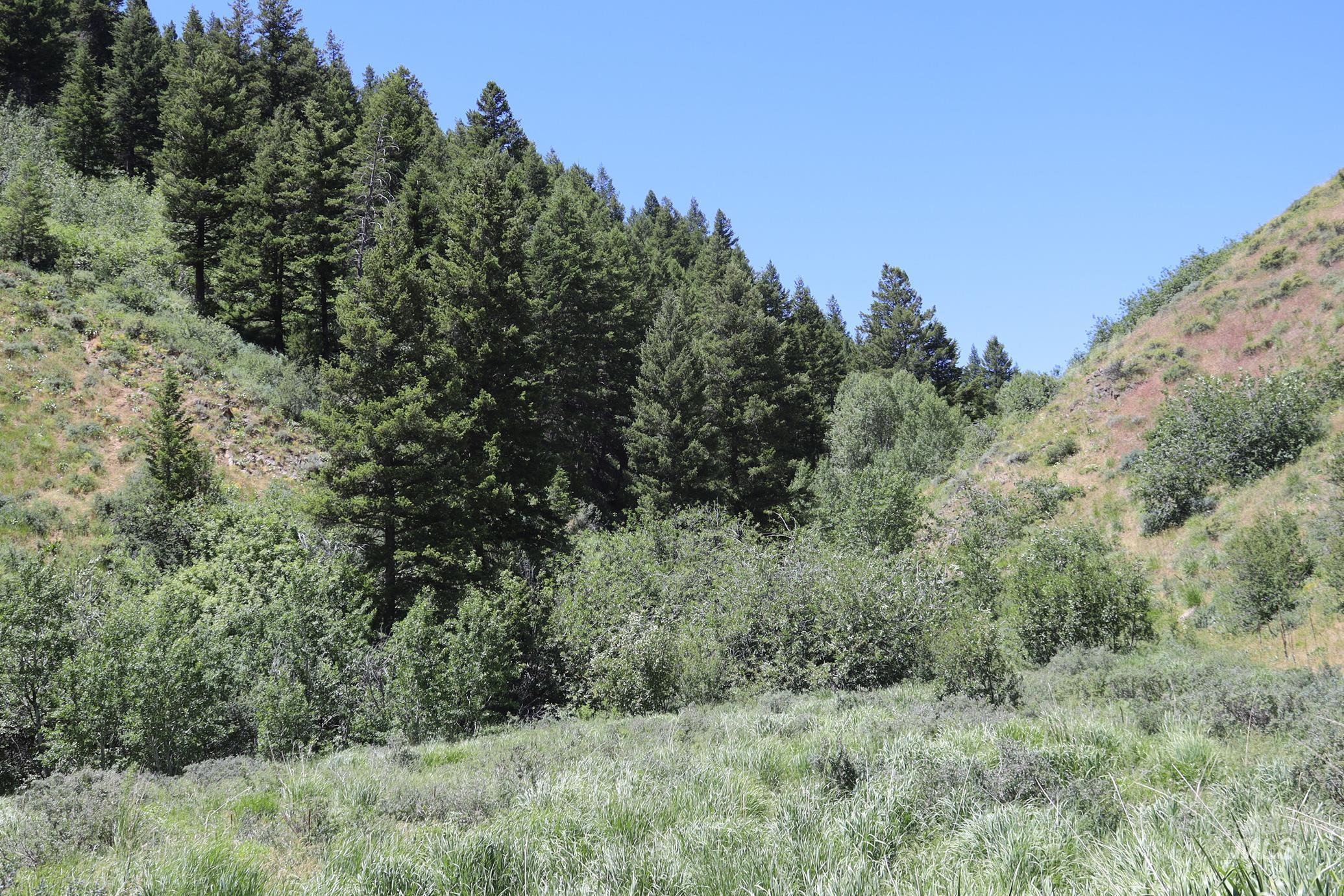 Tbd South Bull Canyon Road Rockland, ID 83271 - Photo 16 of 24