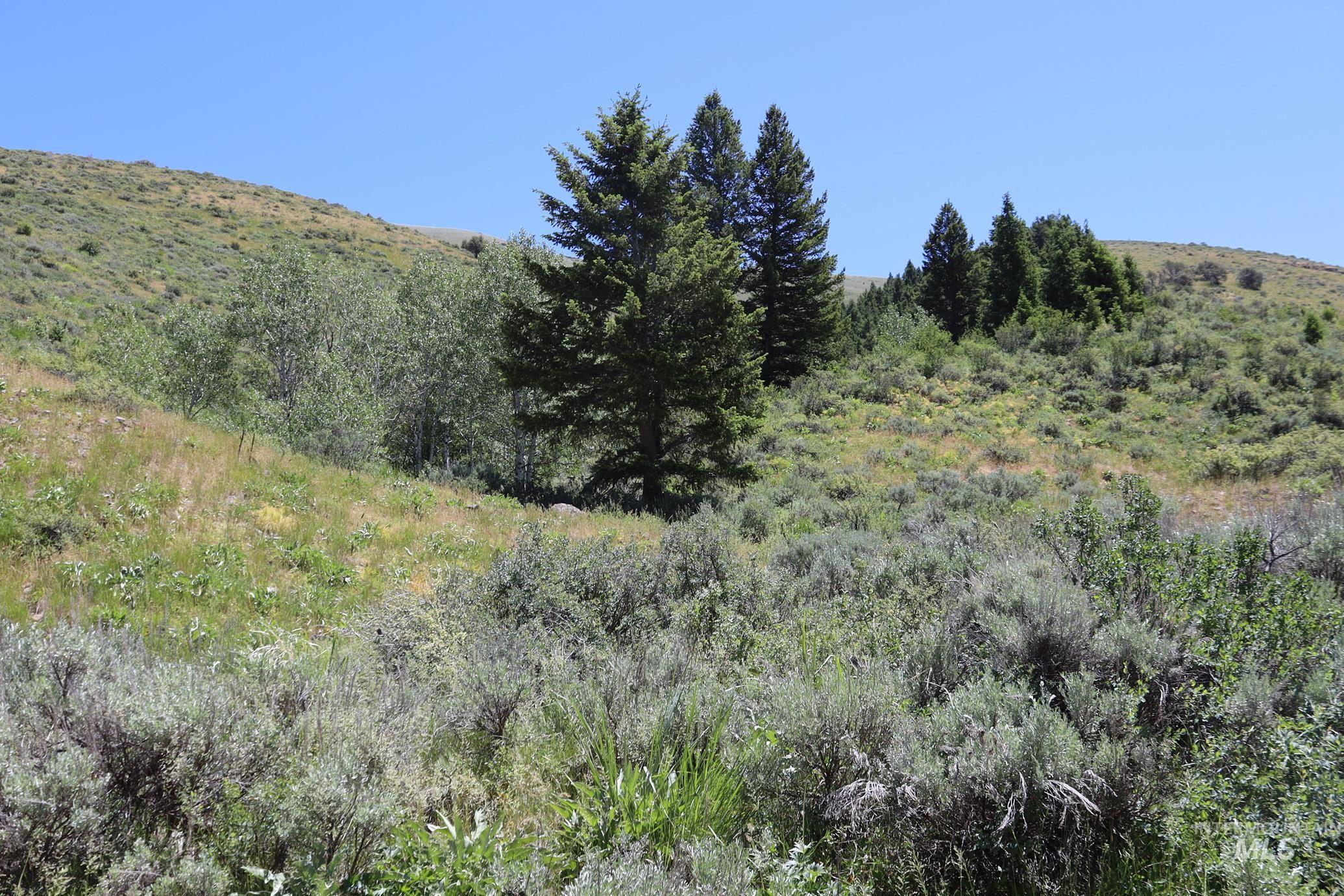 Tbd South Bull Canyon Road Rockland, ID 83271 - Photo 17 of 24