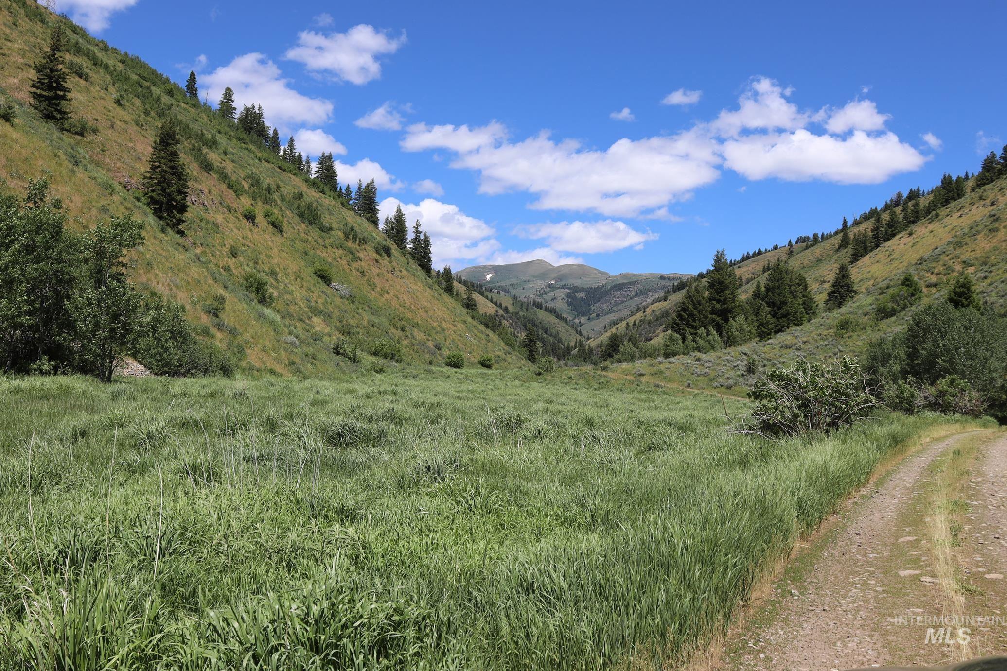 Tbd South Bull Canyon Road Rockland, ID 83271 - Photo 18 of 24