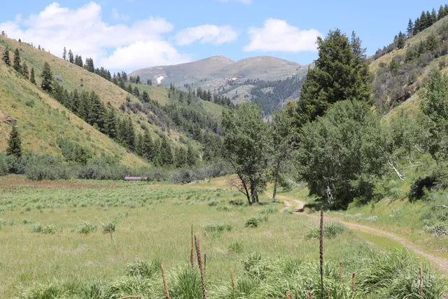 $2,675,000 | Tbd South Bull Canyon Road, Rockland, ID 83271