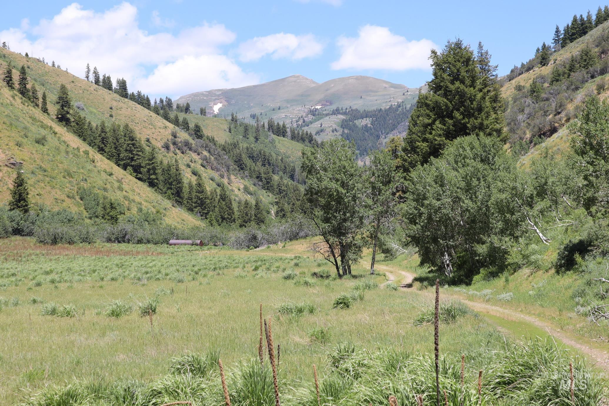Tbd South Bull Canyon Road Rockland, ID 83271 - Photo 19 of 24