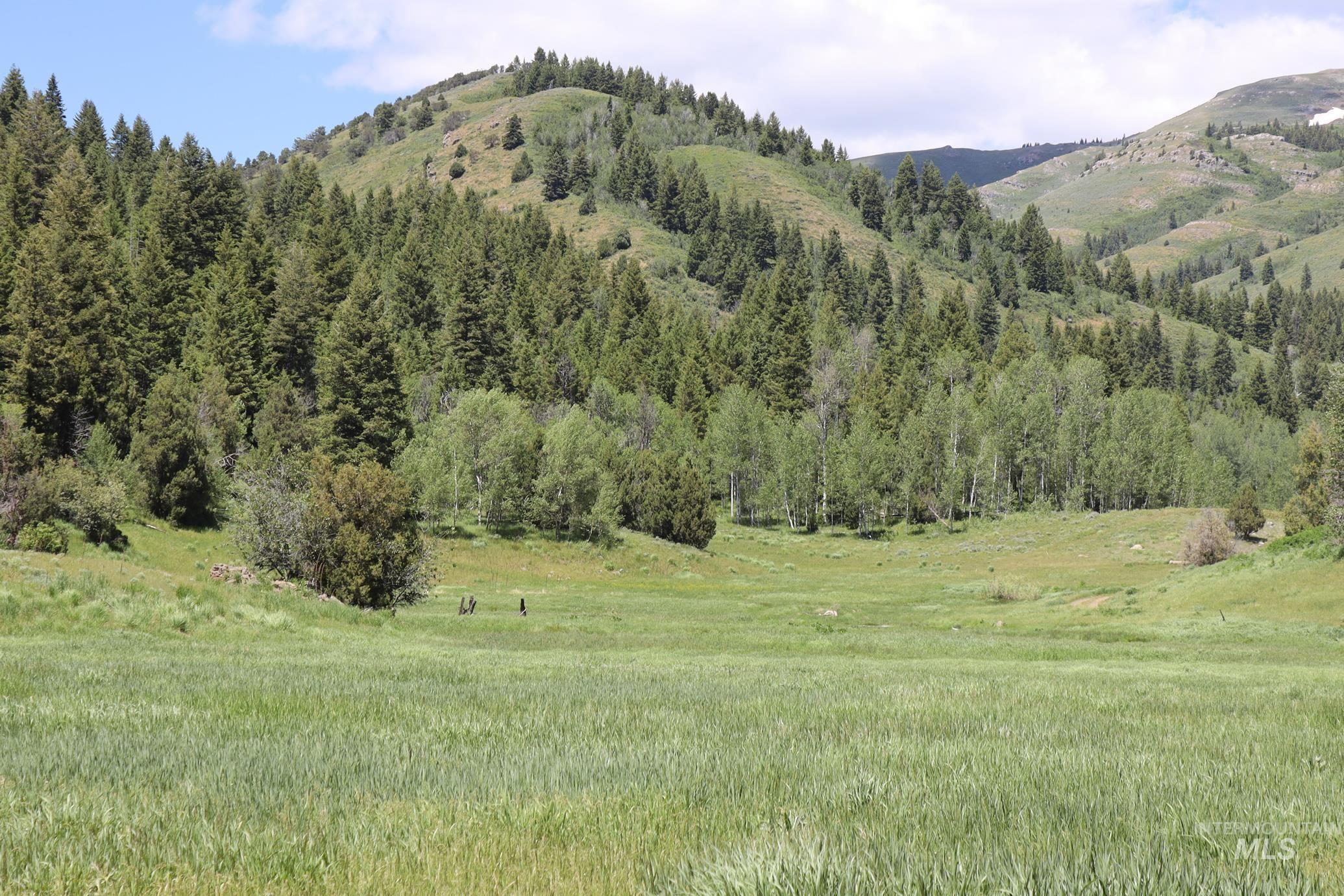 Tbd South Bull Canyon Road Rockland, ID 83271 - Photo 21 of 24