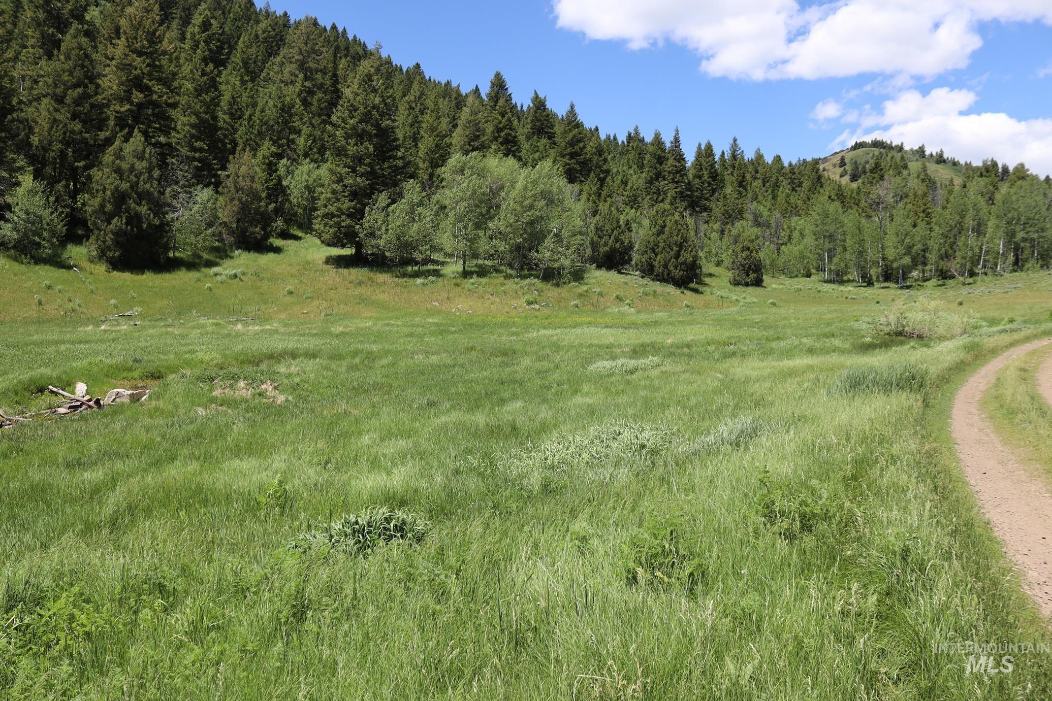 Tbd South Bull Canyon Road Rockland, ID 83271 - Photo 22 of 24