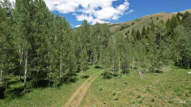 $2,675,000 | Tbd South Bull Canyon Road, Rockland, ID 83271