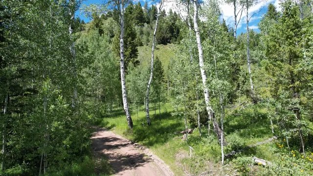 $2,675,000 | Tbd South Bull Canyon Road, Rockland, ID 83271