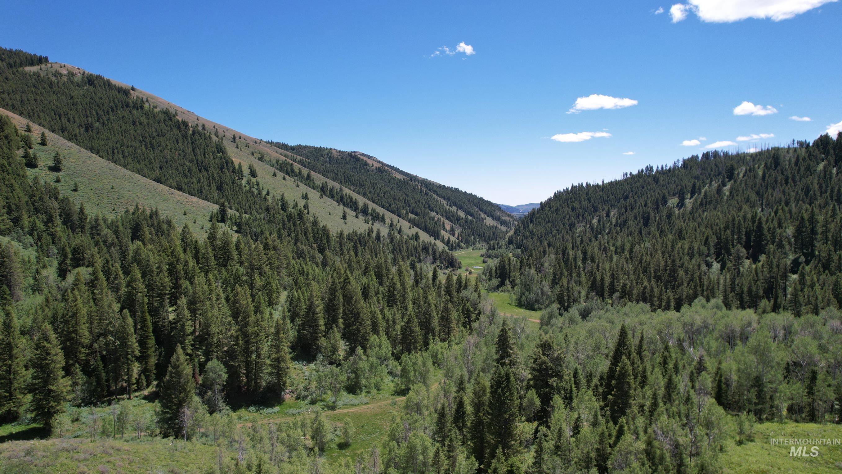 Tbd South Bull Canyon Road Rockland, ID 83271 - Photo 10 of 24