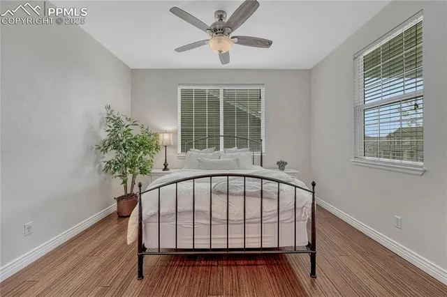 a spacious bedroom with a large bed couch and windows