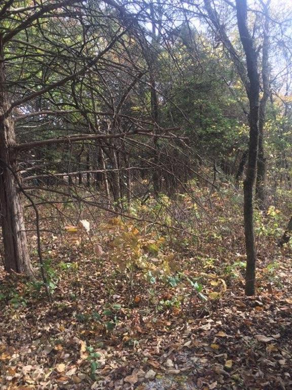 22 Granada Road Kansas City, MO 64138 - Photo 8 of 9