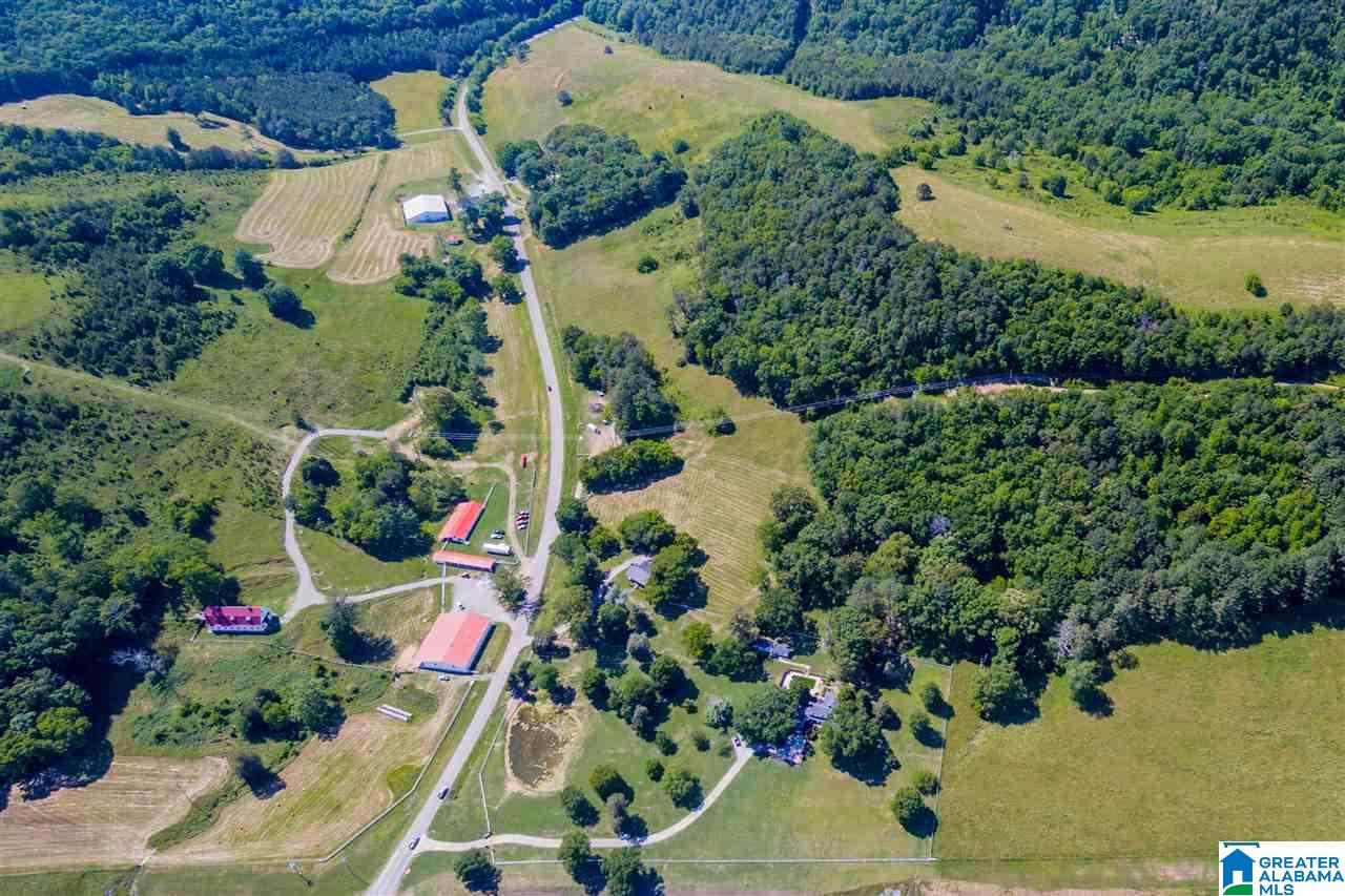 15 County Road Oneonta, AL 35121 - Photo 1 of 1