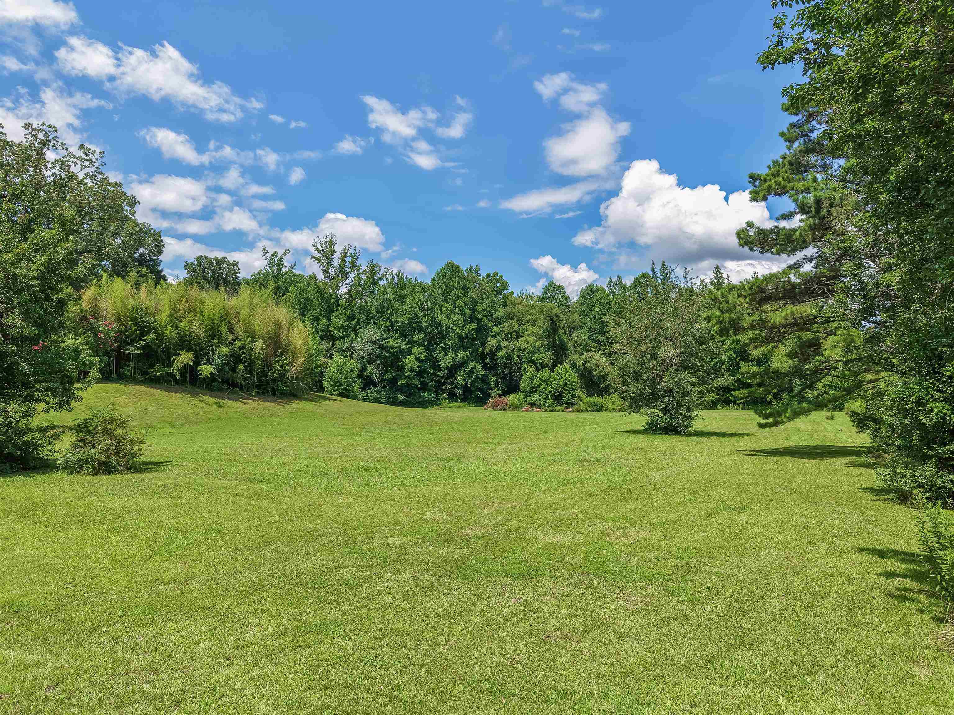 2380 Dunaway Road Selmer, TN 38375 - Photo 7 of 39 Expansive green lawn with a gentle slope and mature trees bordering the property