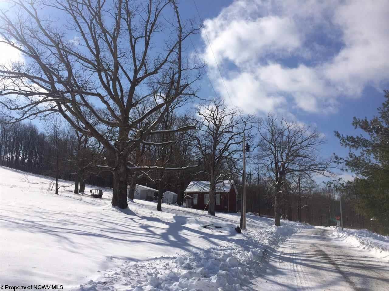 3398 Spruce Run Road Terra Alta, WV 26764 - Photo 15 of 19 Gallery Image 15