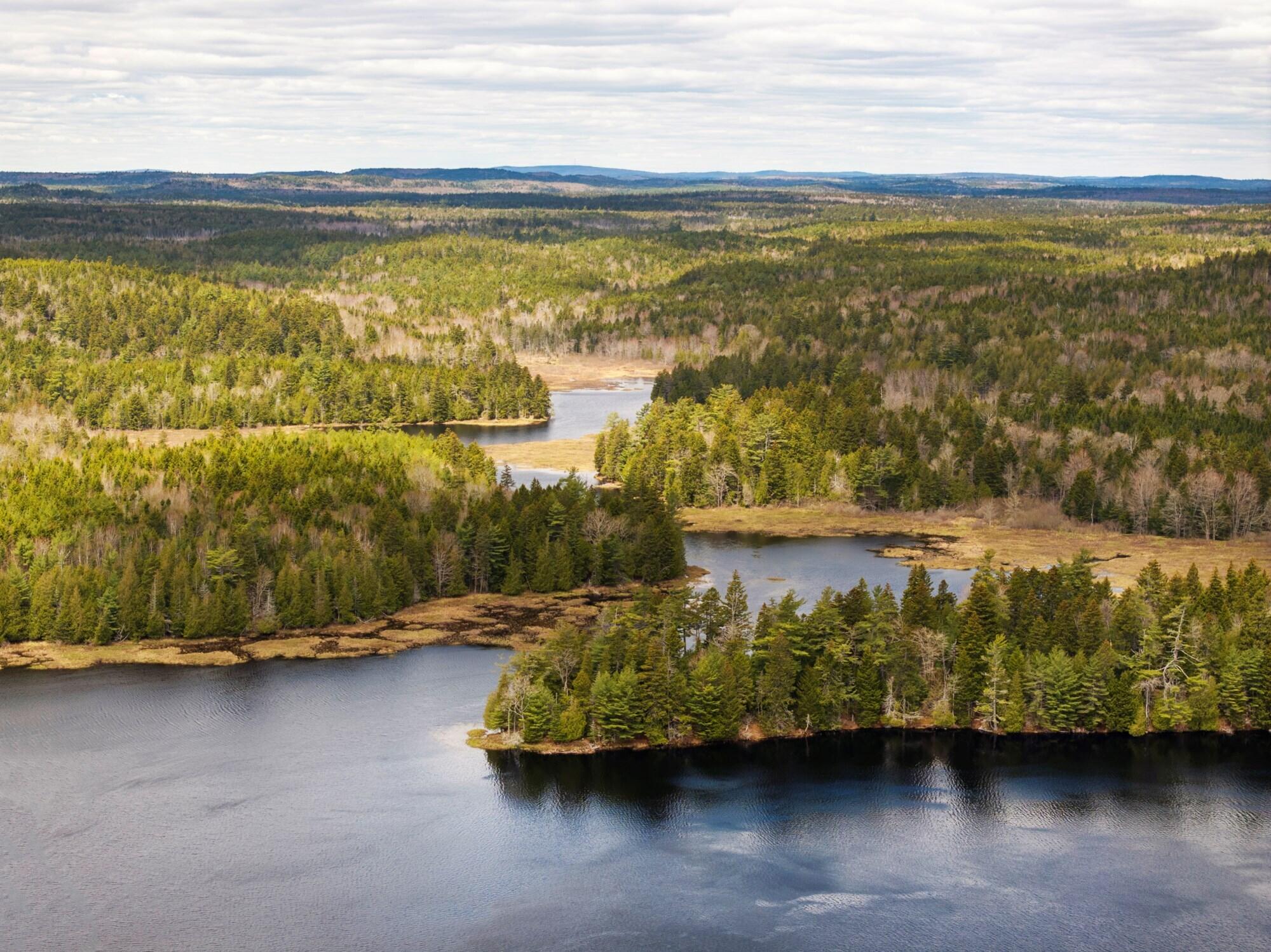 12 Map, Unit 7A Whiting, ME 04691 - Photo 5 of 12 LittleLakeLand_005