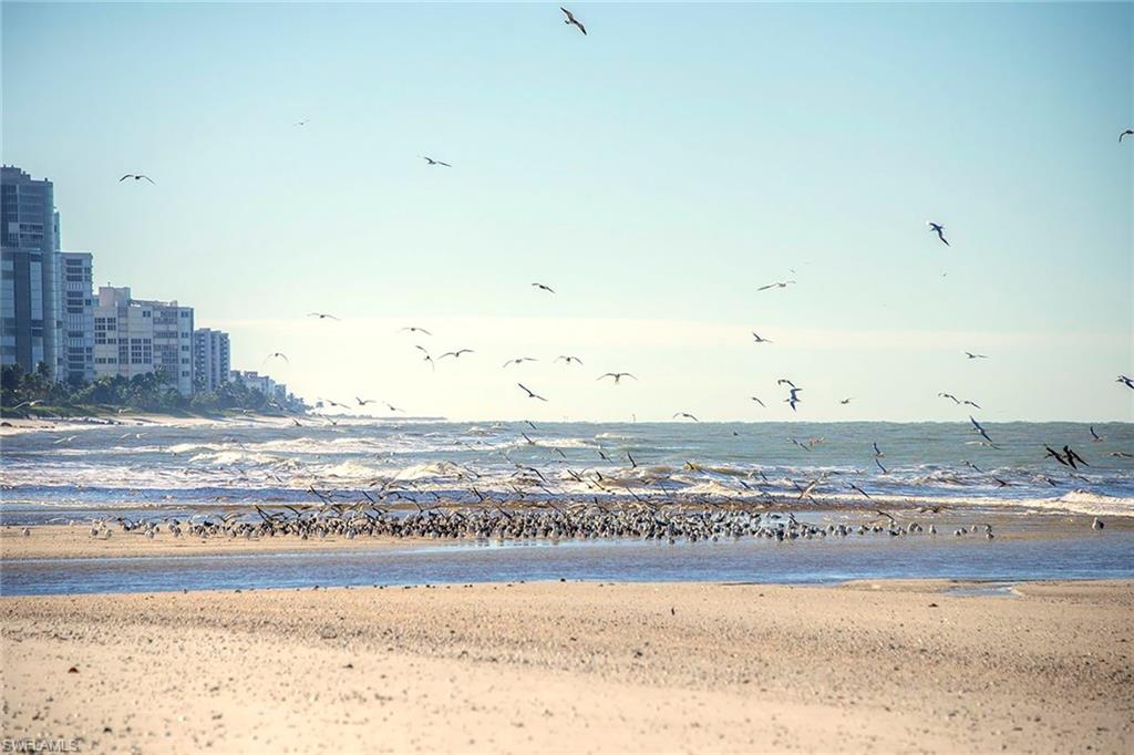 795 Bentwater Circle, Unit 203 Naples, FL 34108 - Photo 33 of 33 a view of an ocean beach