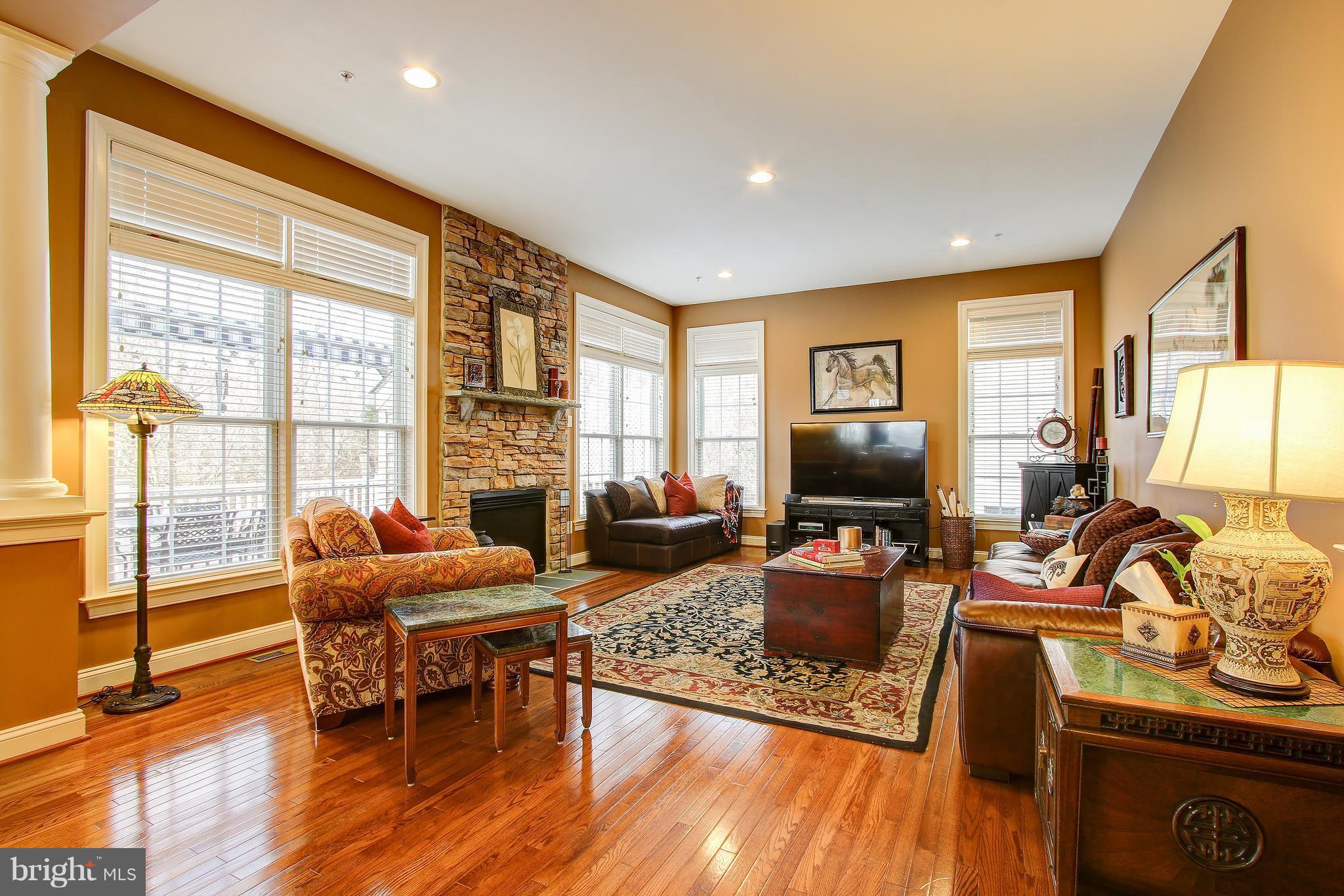 23114 Birch Mead Road Clarksburg, MD 20871 - Photo 13 of 30 Family Room