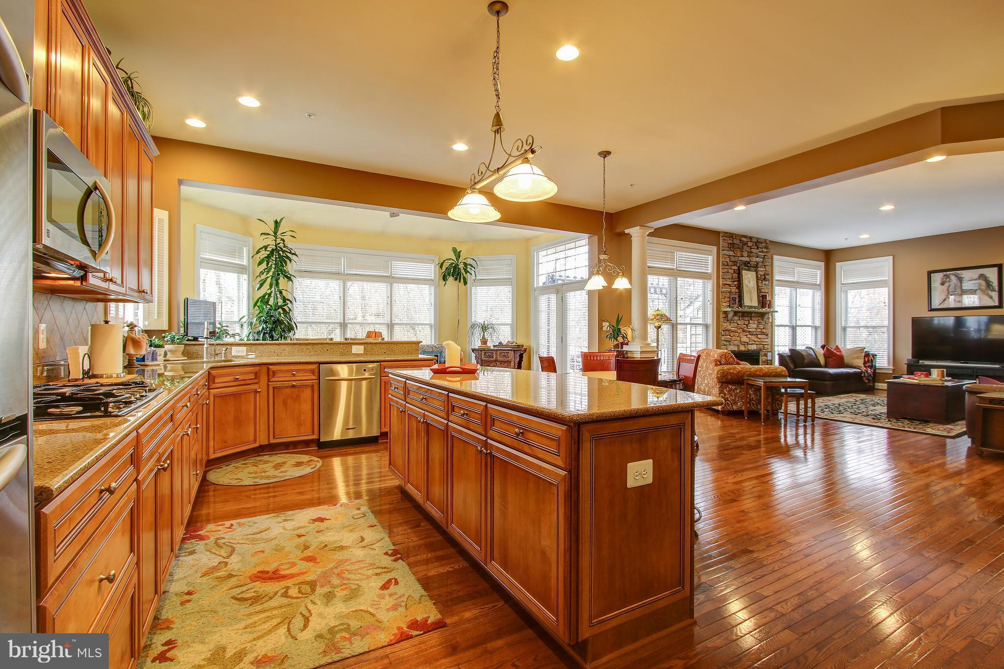23114 Birch Mead Road Clarksburg, MD 20871 - Photo 7 of 30 Kitchen