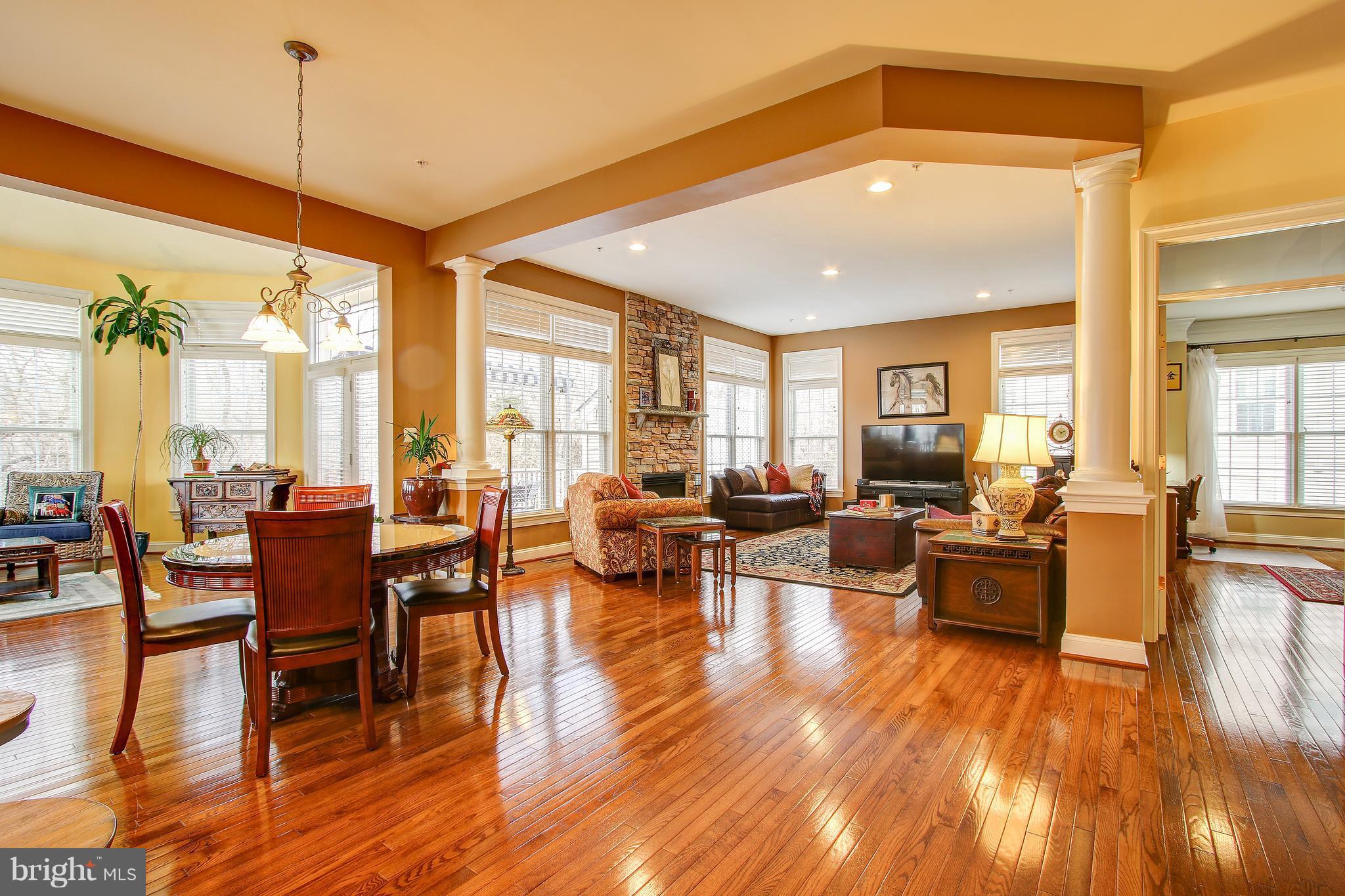 23114 Birch Mead Road Clarksburg, MD 20871 - Photo 10 of 30 Family Room