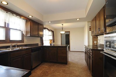 161 West Church Road Beecher, IL 60401 - Photo 6 of 10 398x264