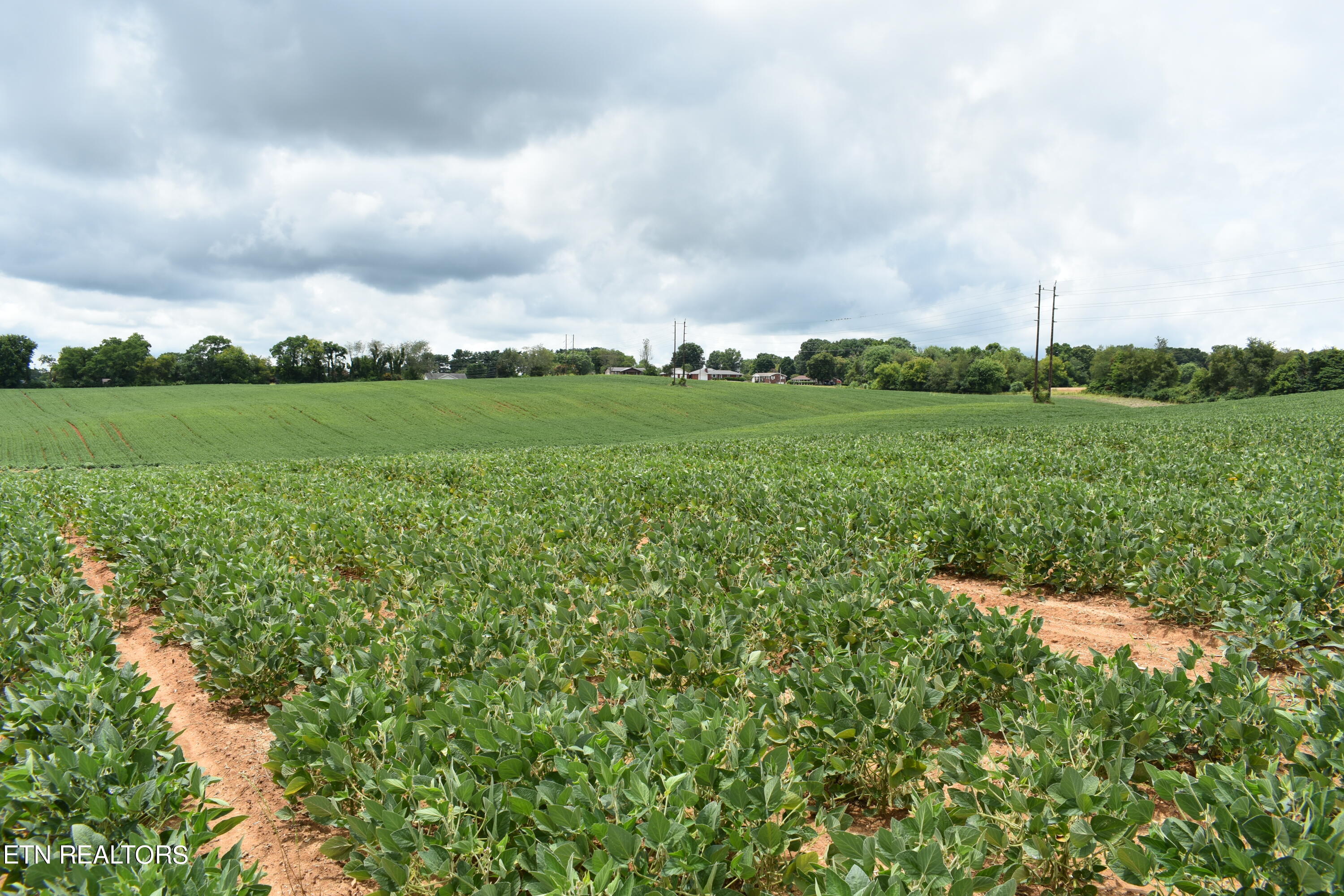 Old Poplar Ridge Road Morristown, TN 37814 - Photo 11 of 12 DSC_7408
