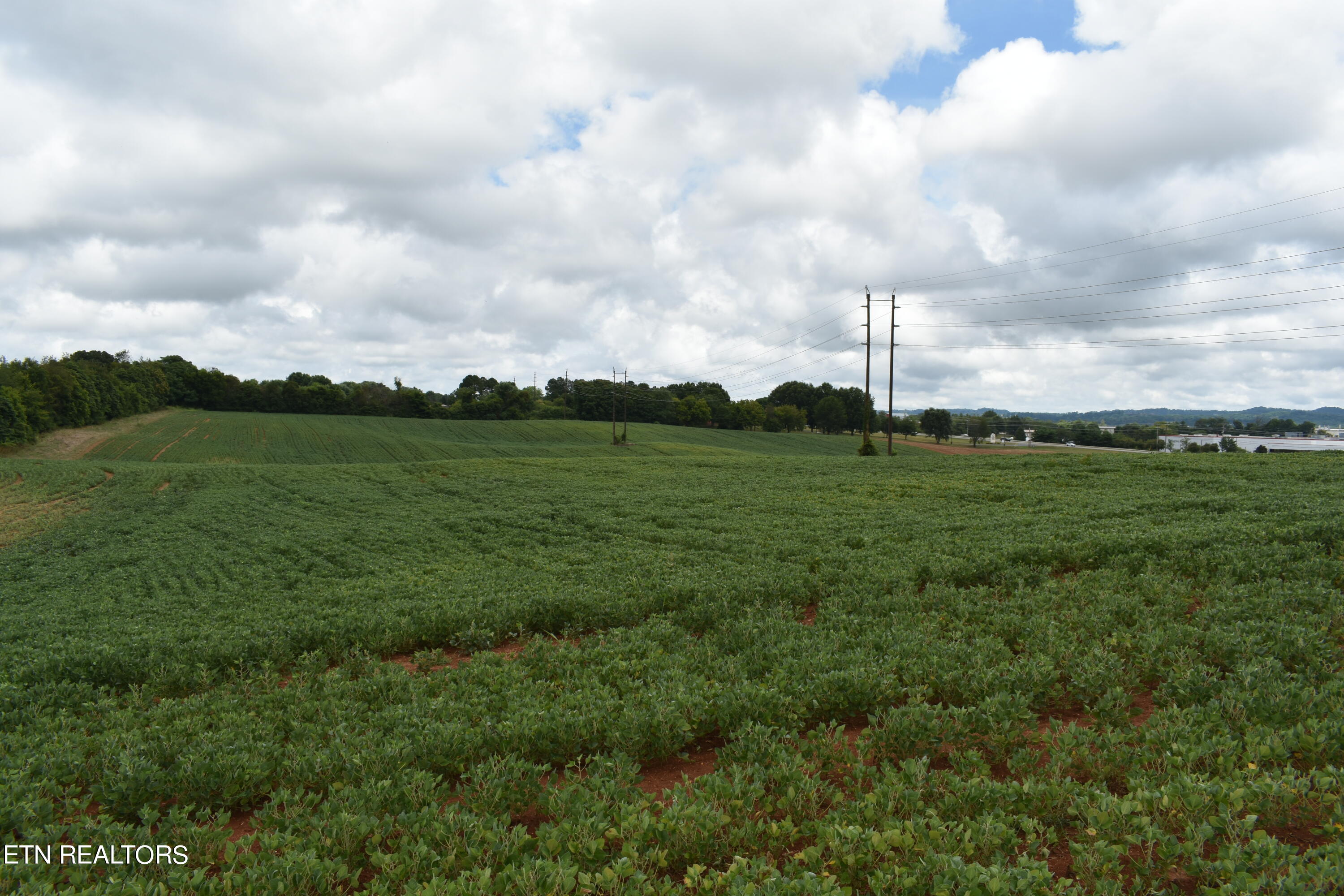 Old Poplar Ridge Road Morristown, TN 37814 - Photo 2 of 12 DSC_7399