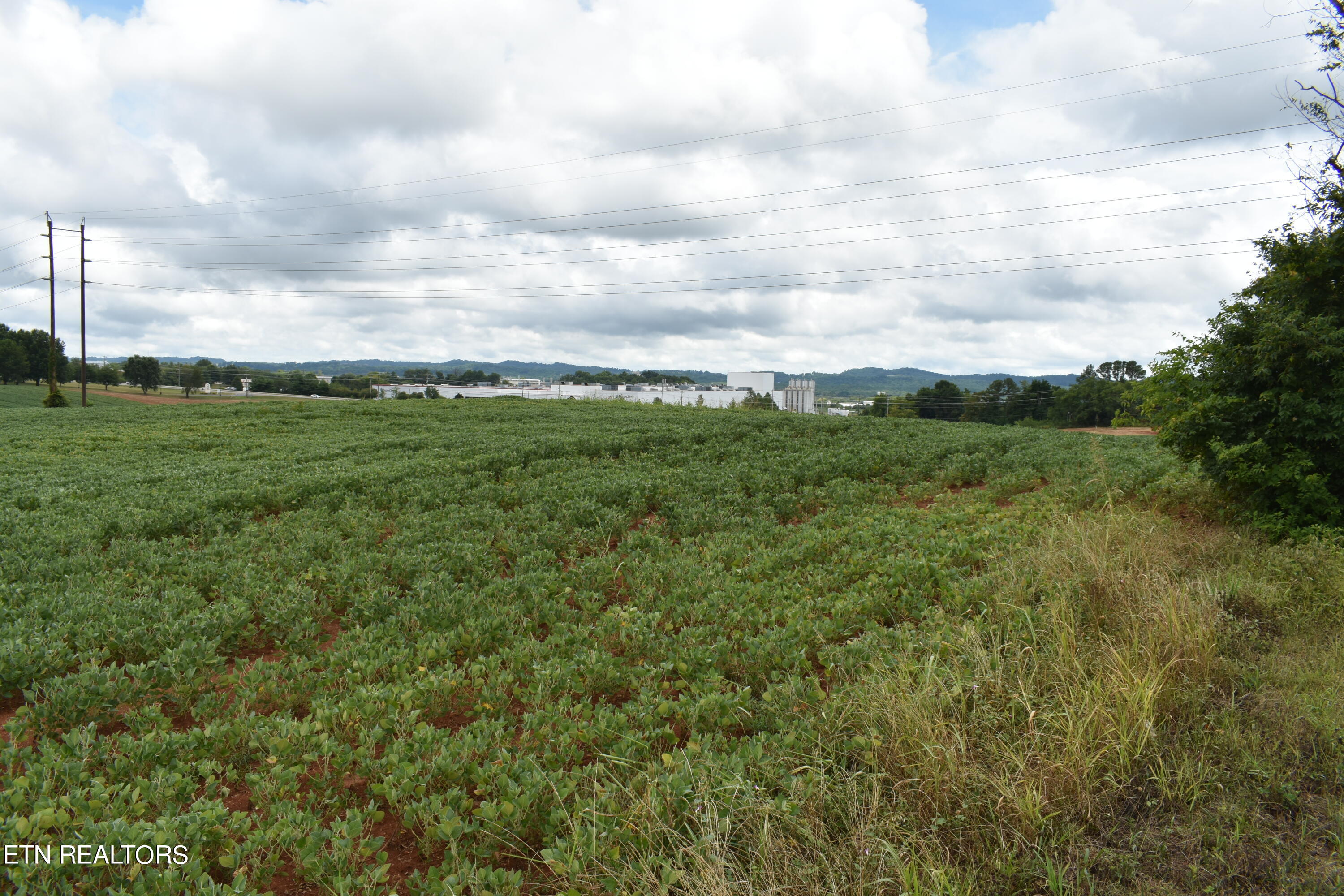 Old Poplar Ridge Road Morristown, TN 37814 - Photo 3 of 12 DSC_7400