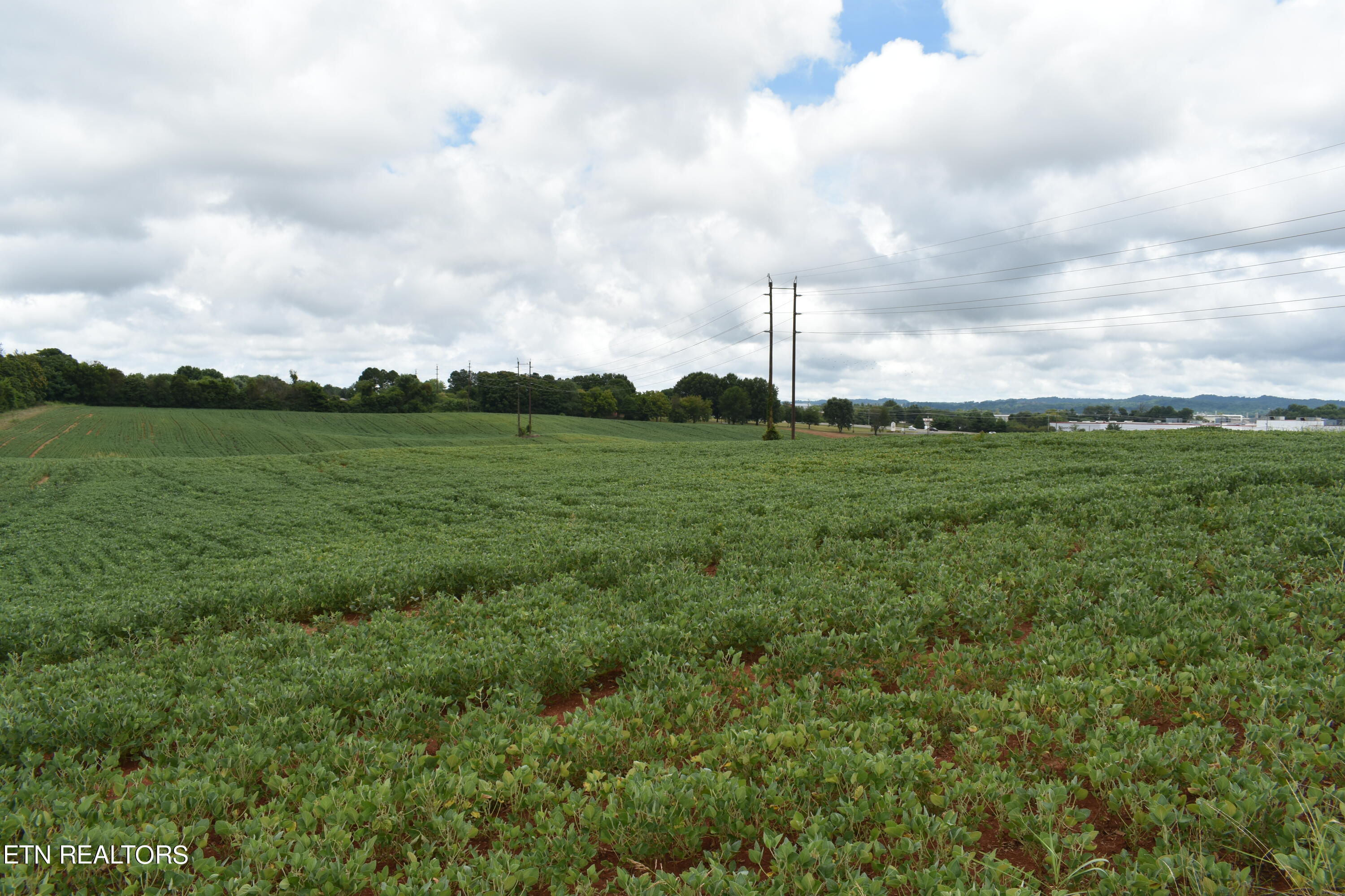 Old Poplar Ridge Road Morristown, TN 37814 - Photo 4 of 12 DSC_7401