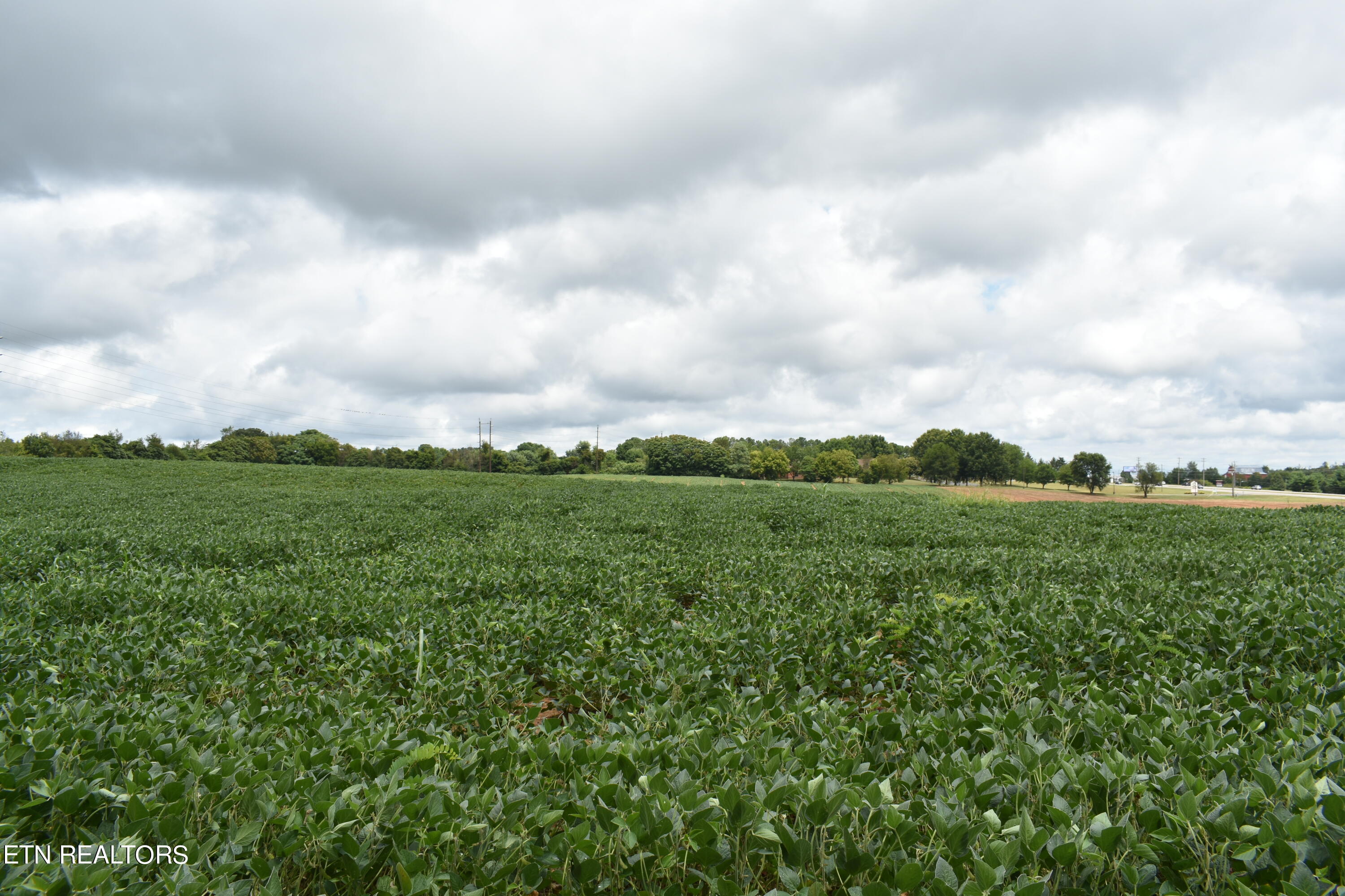 Old Poplar Ridge Road Morristown, TN 37814 - Photo 5 of 12 DSC_7402