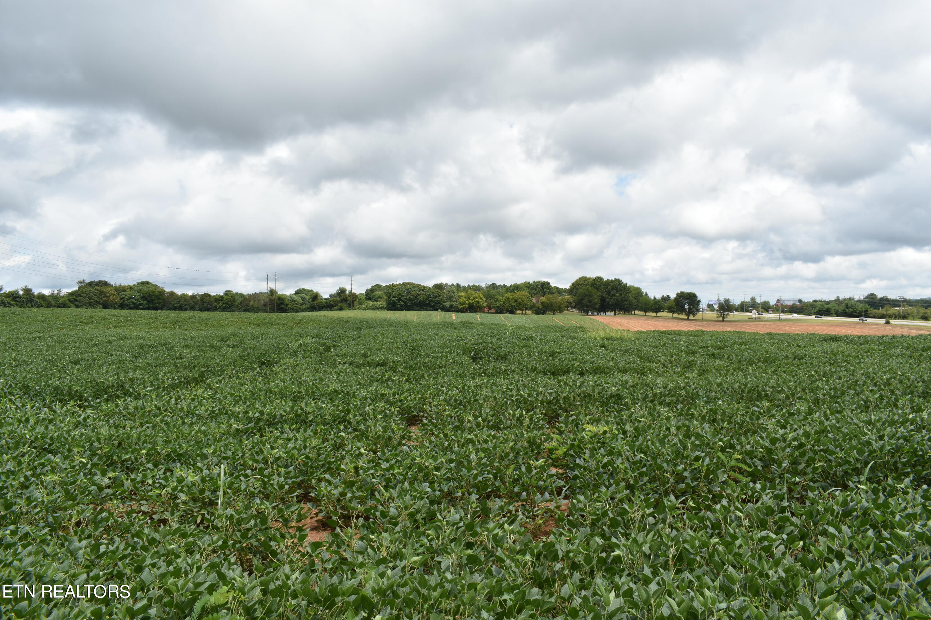 Old Poplar Ridge Road Morristown, TN 37814 - Photo 6 of 12 DSC_7403