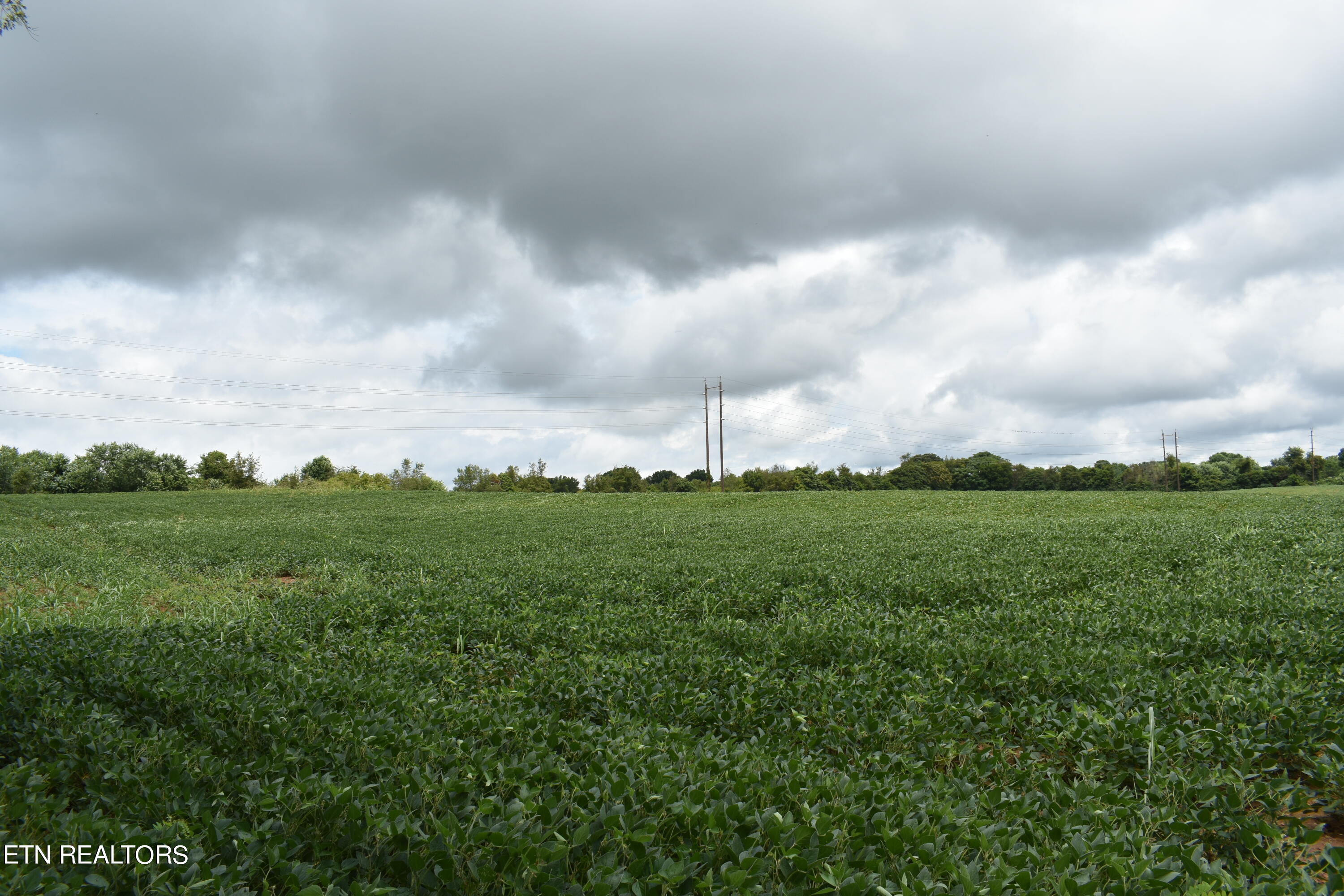 Old Poplar Ridge Road Morristown, TN 37814 - Photo 7 of 12 DSC_7404