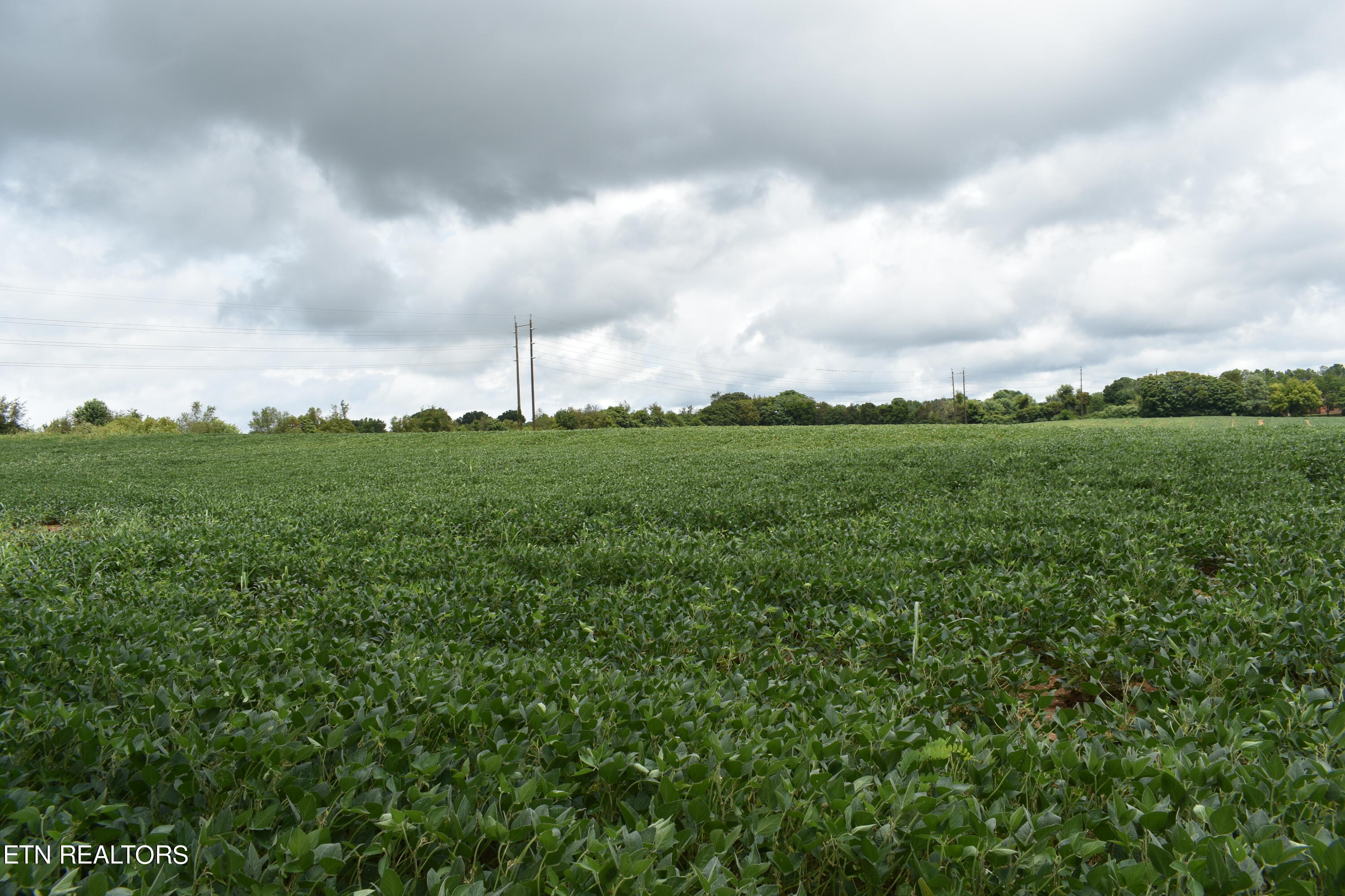 Old Poplar Ridge Road Morristown, TN 37814 - Photo 8 of 12 DSC_7405