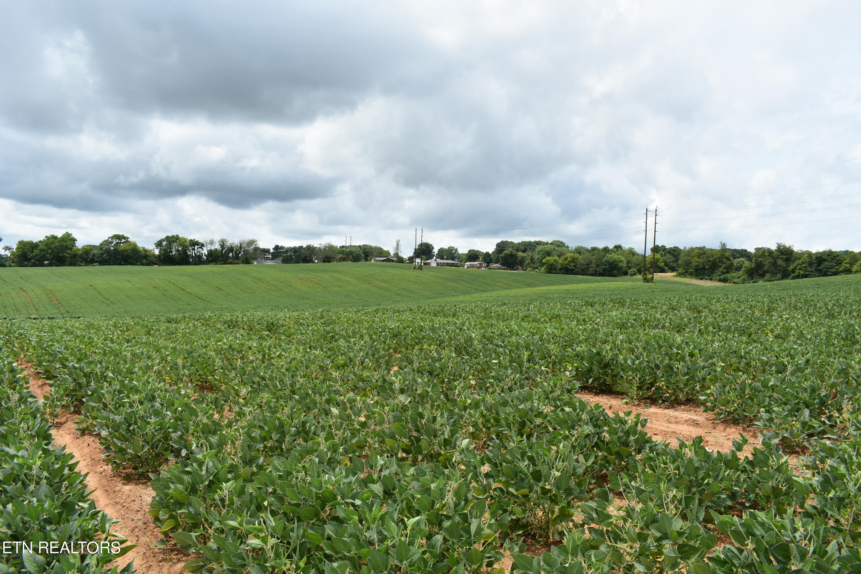 Old Poplar Ridge Road Morristown, TN 37814 - Photo 9 of 12 DSC_7406