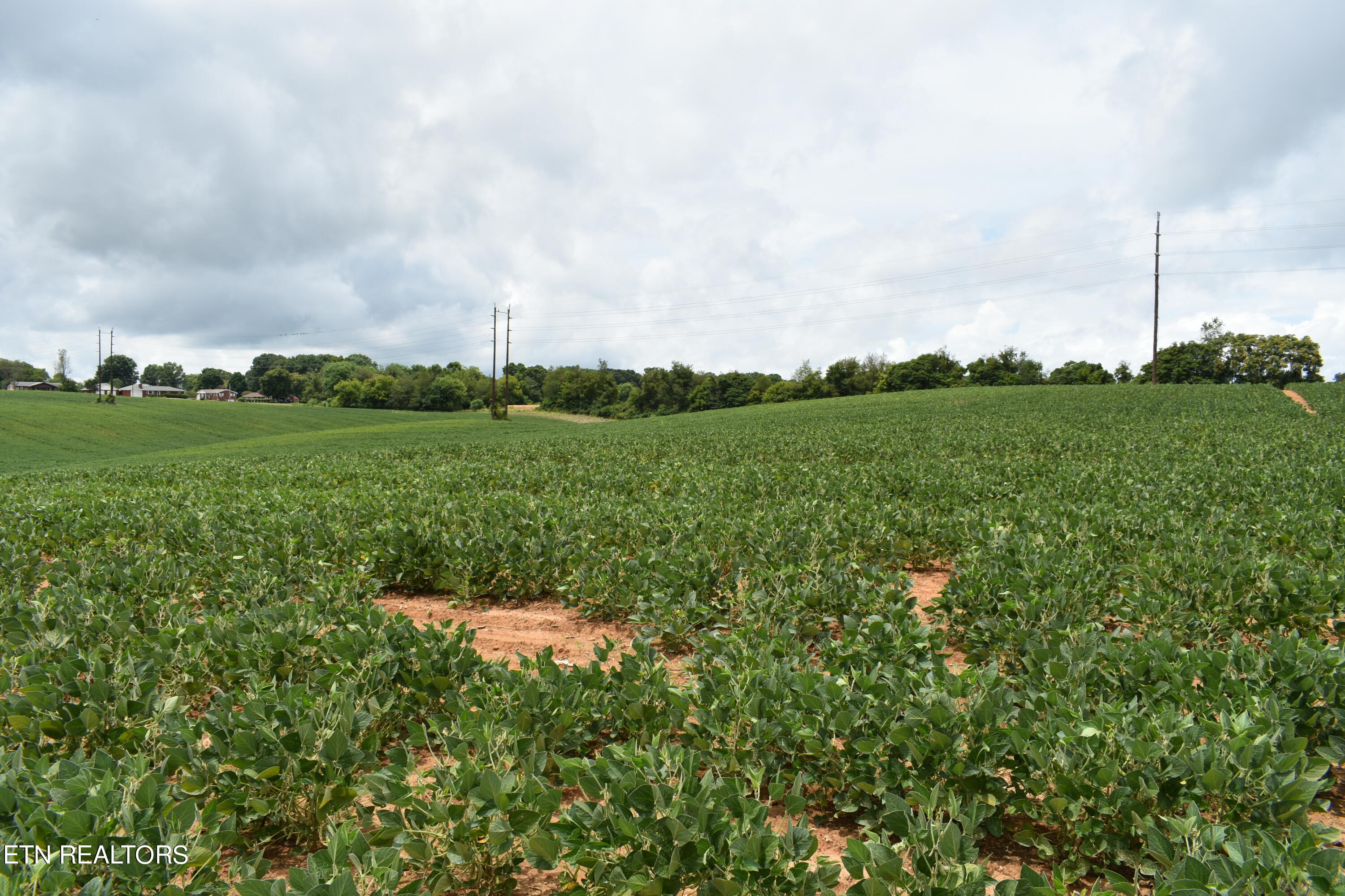 Old Poplar Ridge Road Morristown, TN 37814 - Photo 10 of 12 DSC_7407