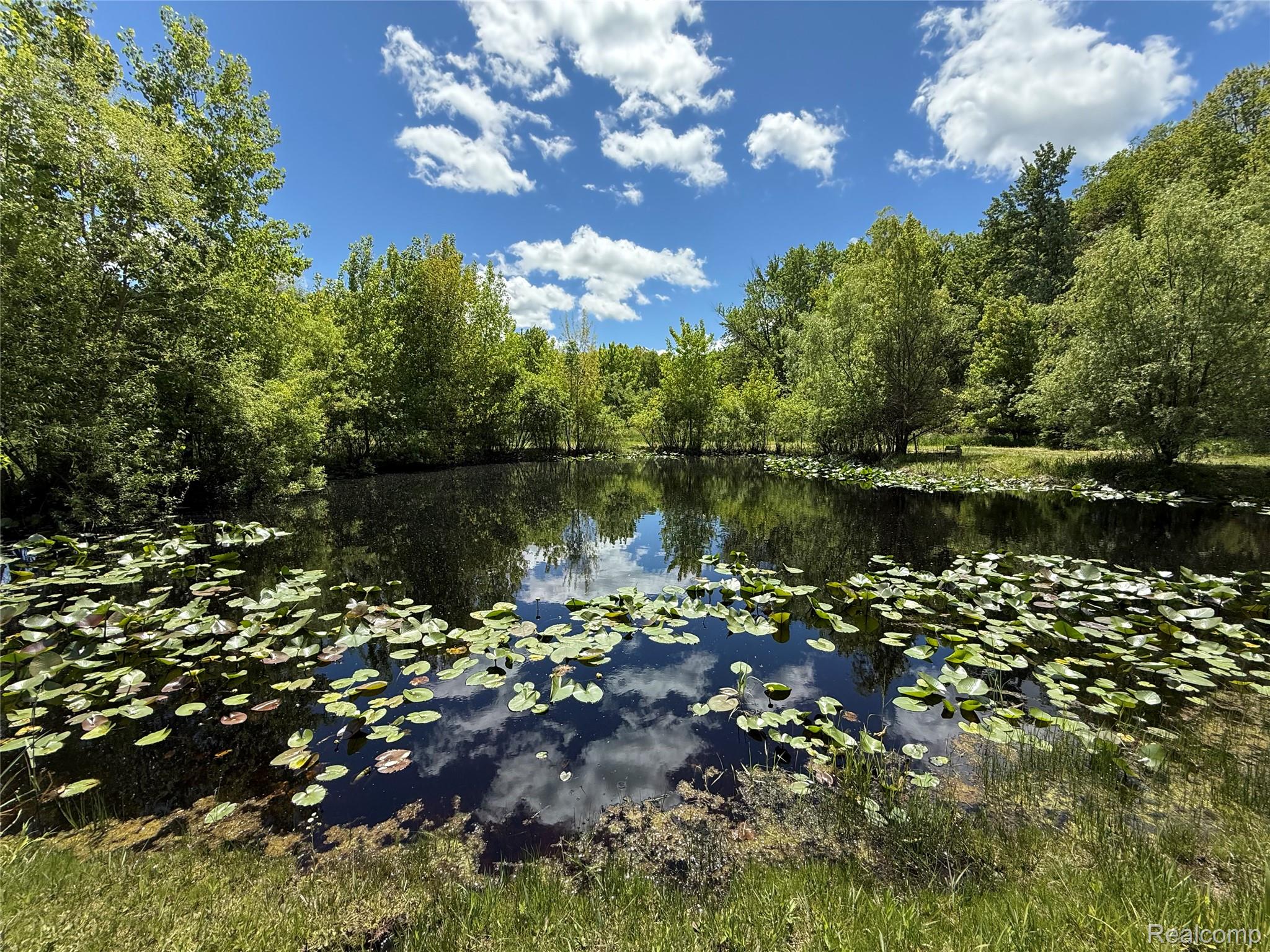 7333 Toma Road Dexter, MI 48130 - Photo 12 of 45 Natural pond featuring lily pads and surrounded by mature trees