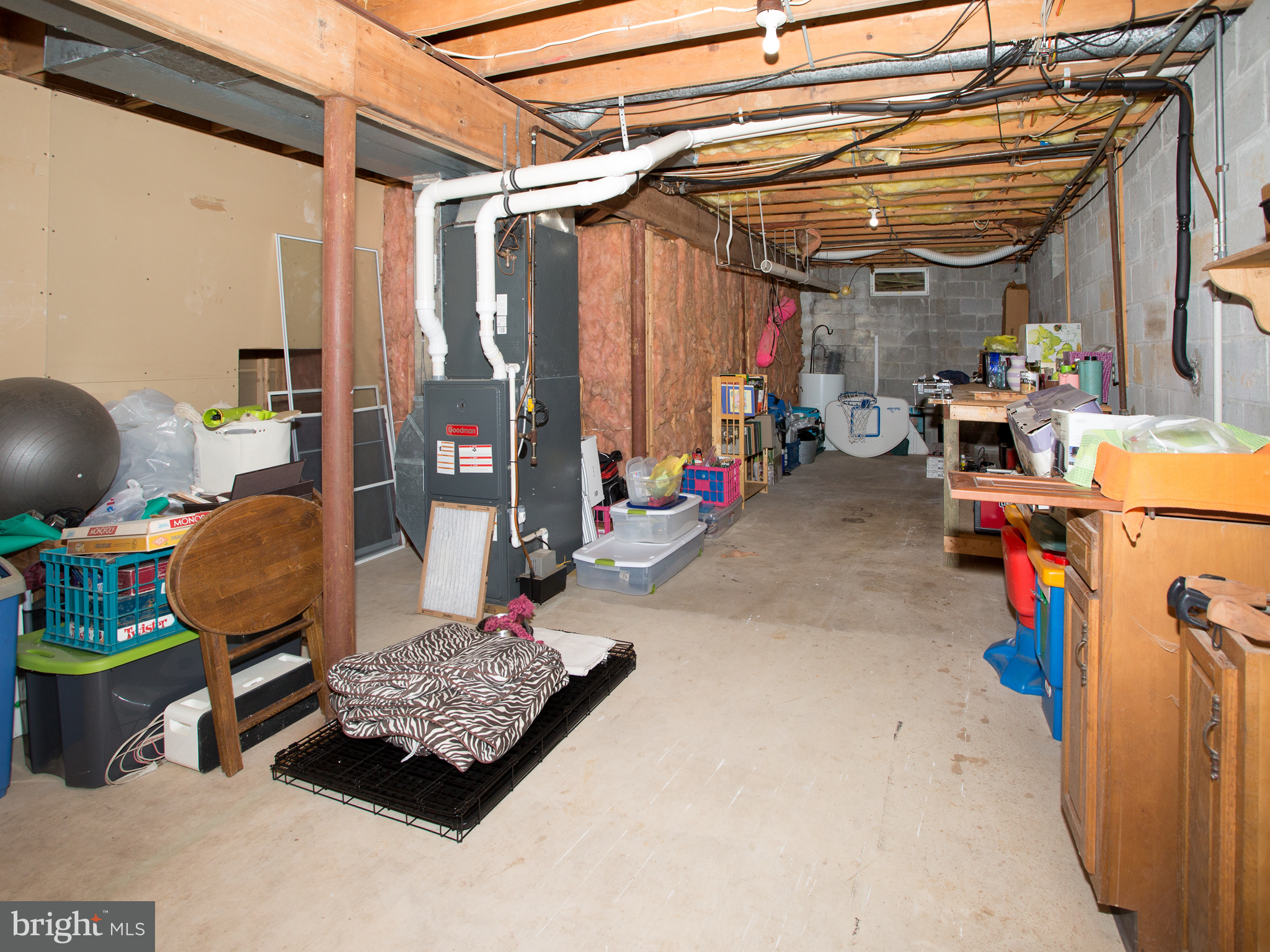 6218 Telegraph Road Elkton, MD 21921 - Photo 35 of 36 Plenty of storage