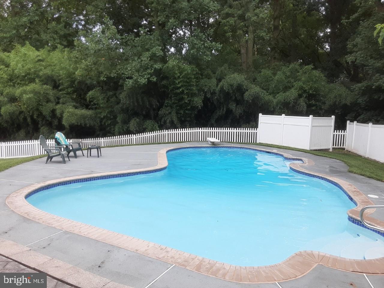 6218 Telegraph Road Elkton, MD 21921 - Photo 7 of 36 Awesome pool