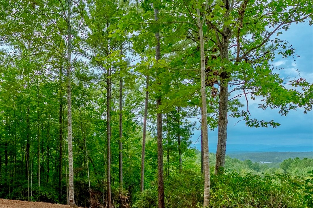 382 Cliffs S Parkway Salem, SC 29676 - Photo 3 of 12