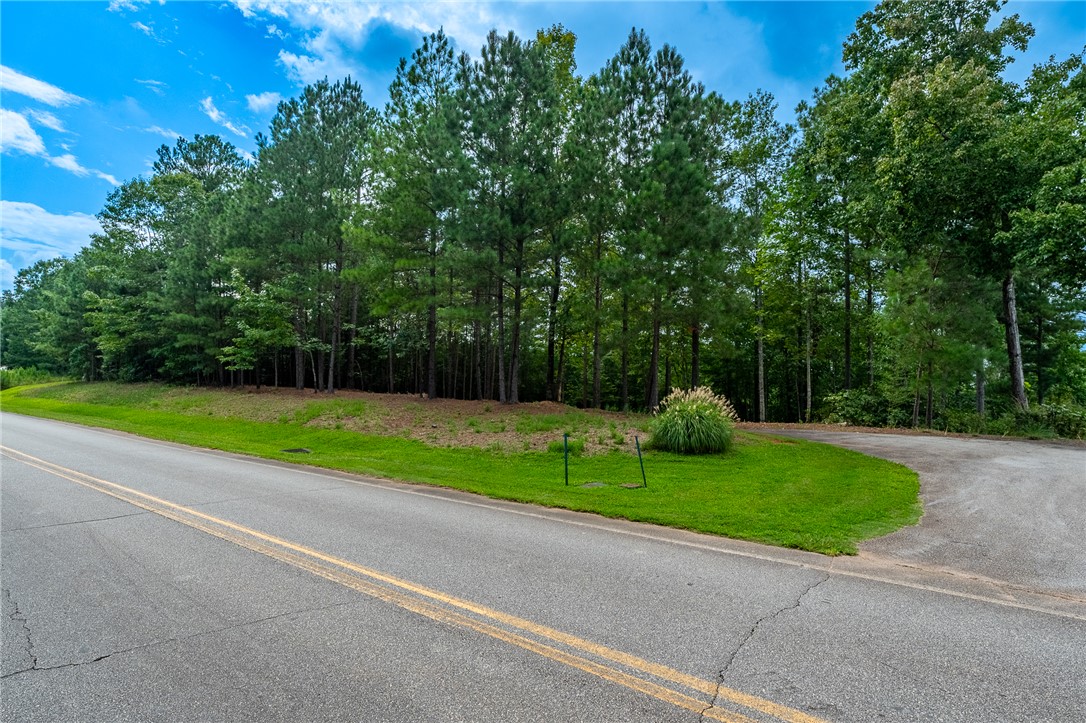 382 Cliffs S Parkway Salem, SC 29676 - Photo 5 of 12