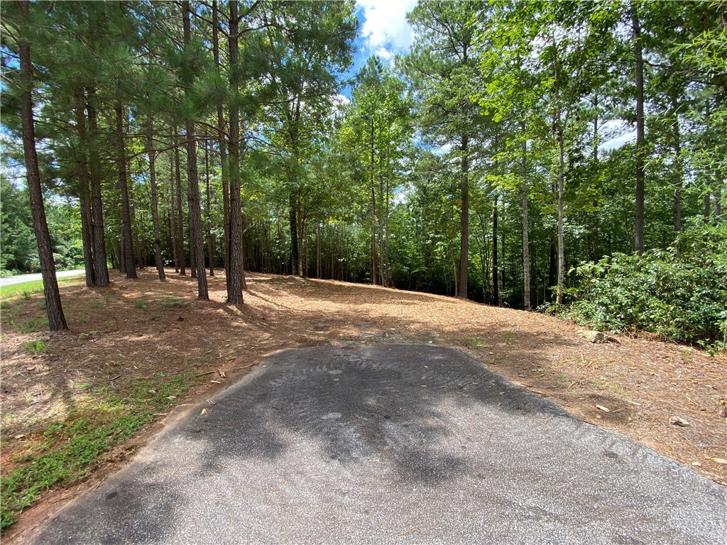 382 Cliffs S Parkway Salem, SC 29676 - Photo 7 of 12