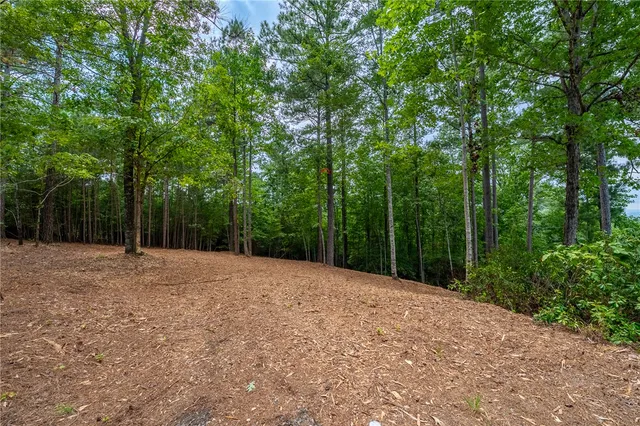 $399,000 | 382 Cliffs S Parkway, Salem, SC 29676