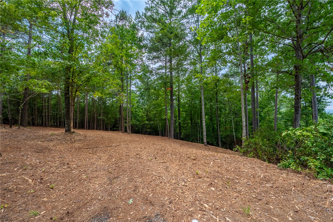 382 Cliffs S Parkway Salem, SC 29676 - Photo 8 of 12