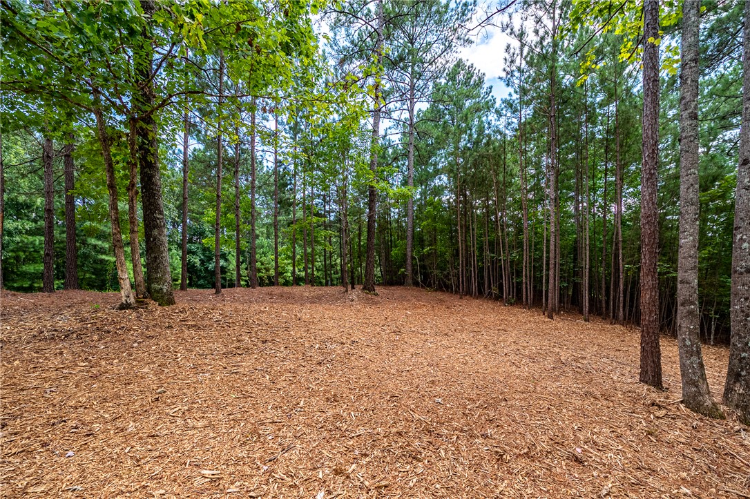 382 Cliffs S Parkway Salem, SC 29676 - Photo 9 of 12