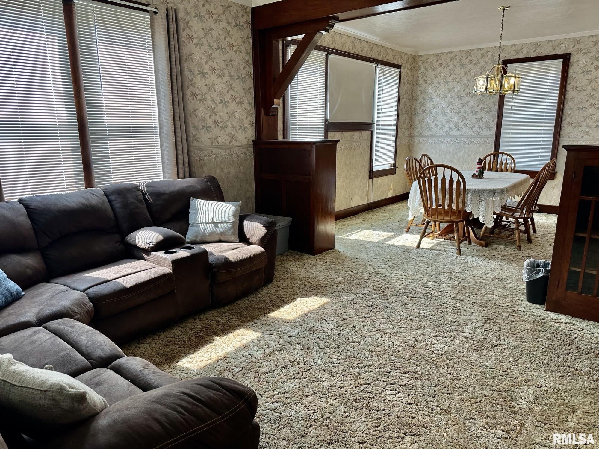201 East Alder Road Canton, IL 61520 - Photo 4 of 75