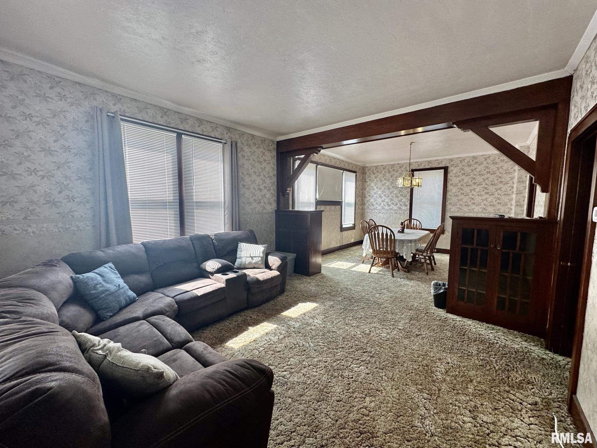 201 East Alder Road Canton, IL 61520 - Photo 5 of 75