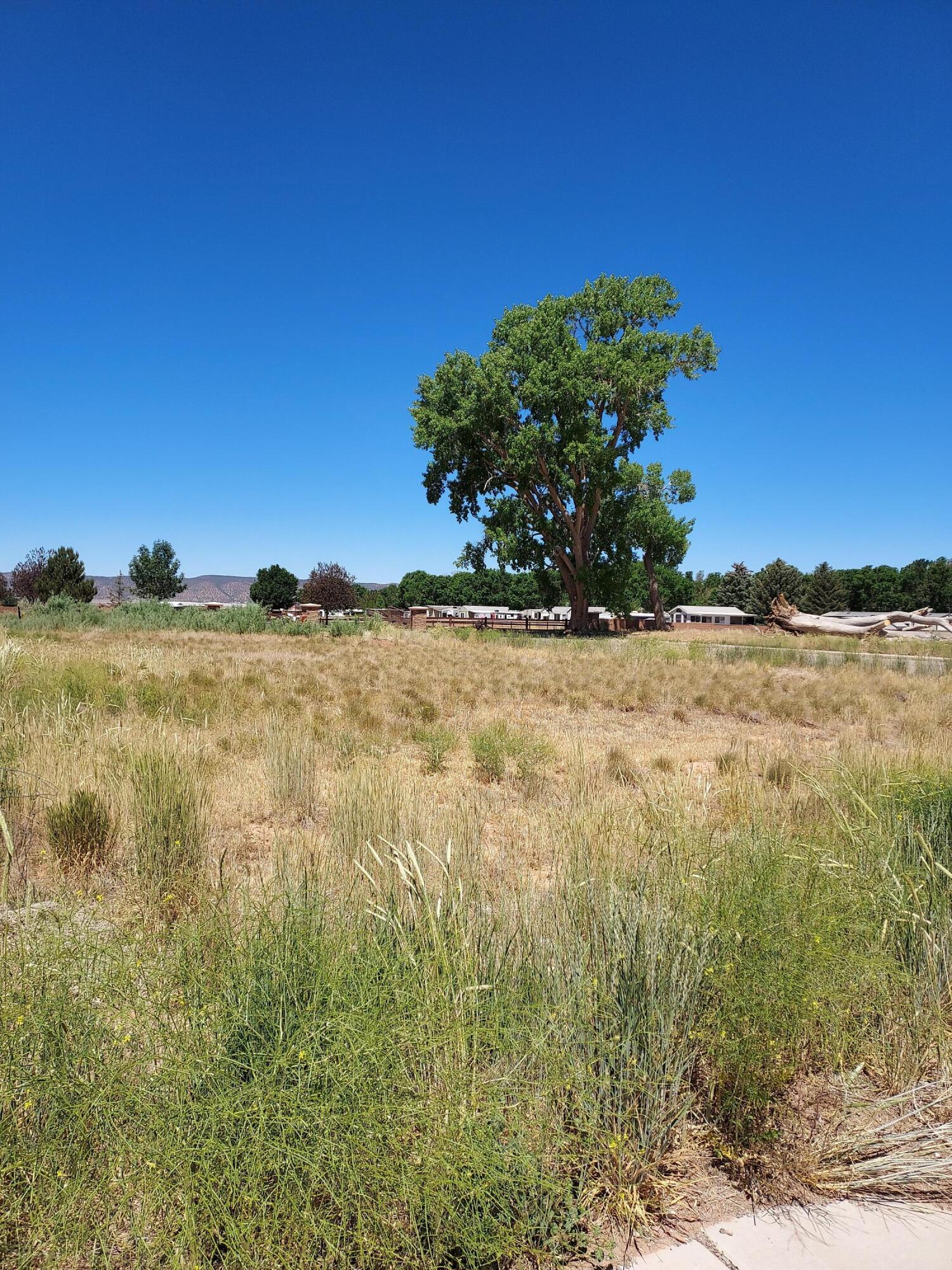 337 South 1375th Street West Parowan, UT 84761 - Photo 1 of 1 Lot & View to the West