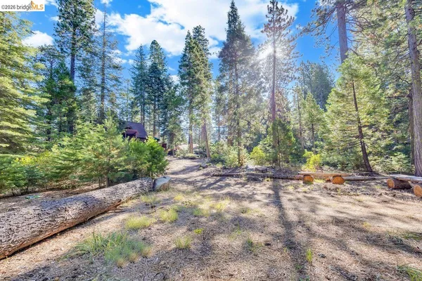 $499,000 | 311 Fir Trail, Pinecrest, CA 95364