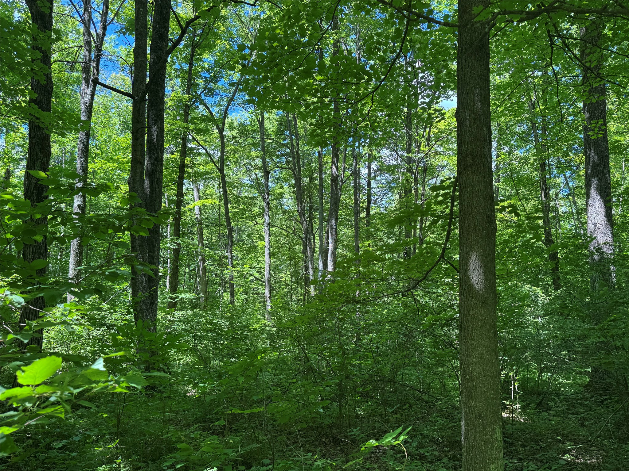 Ooo Snowshoe Road Wausau, WI 54403 - Photo 29 of 48