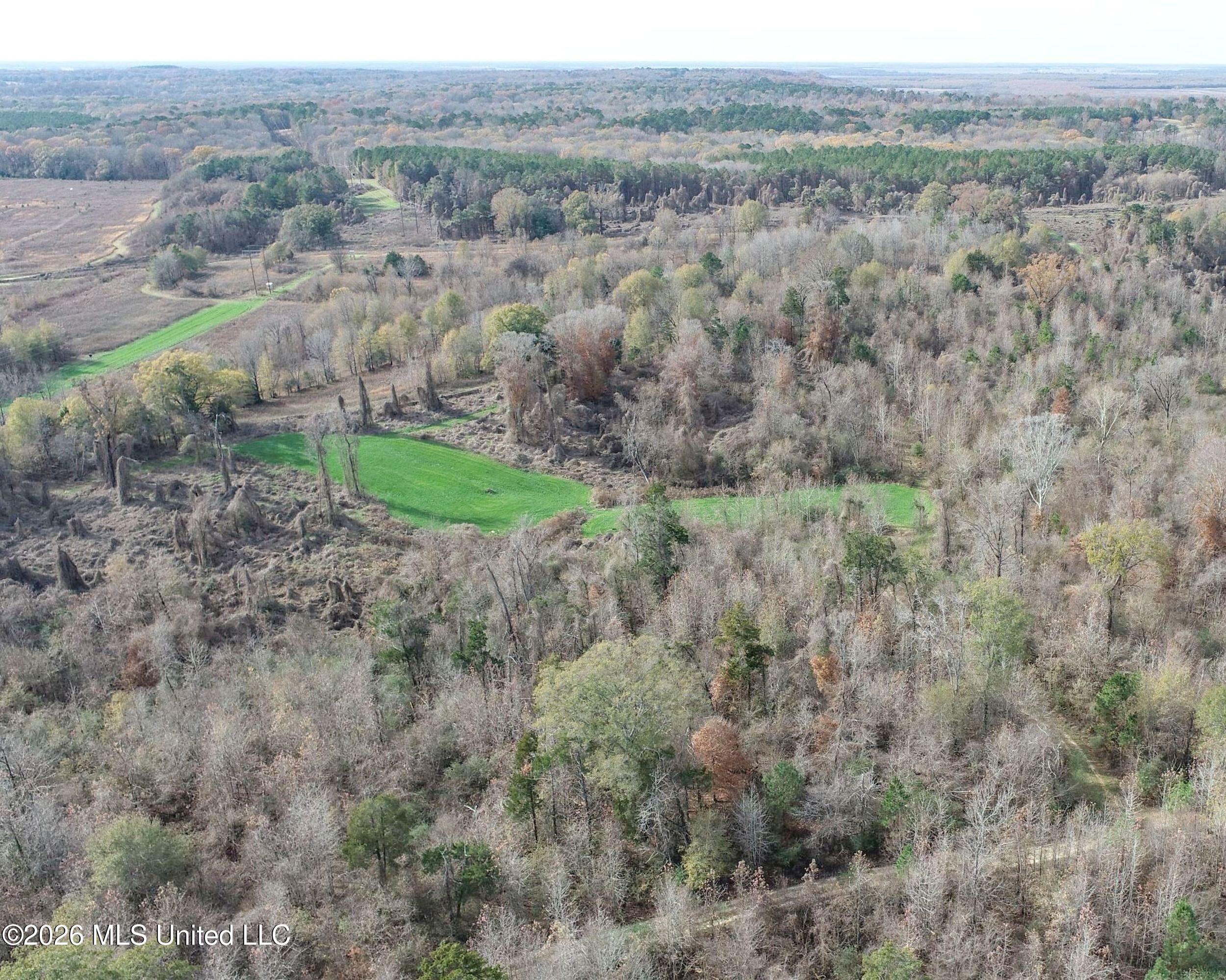 Chinqupin Road Lexington, MS 39095 - Photo 16 of 210 2chqpn37
