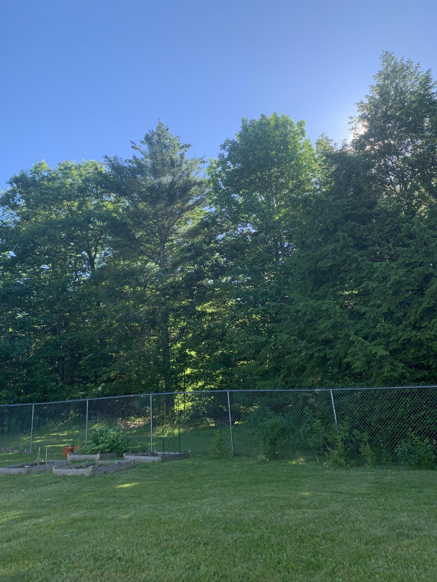884 Methodist Road Westbrook, ME 04092 - Photo 44 of 50 Rear yard