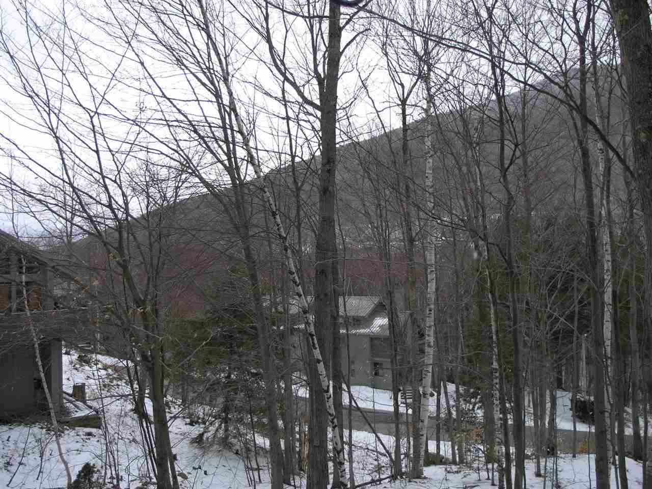 17-2 Highwood Road Lincoln, NH 03251 - Photo 39 of 40 Gallery Image 39