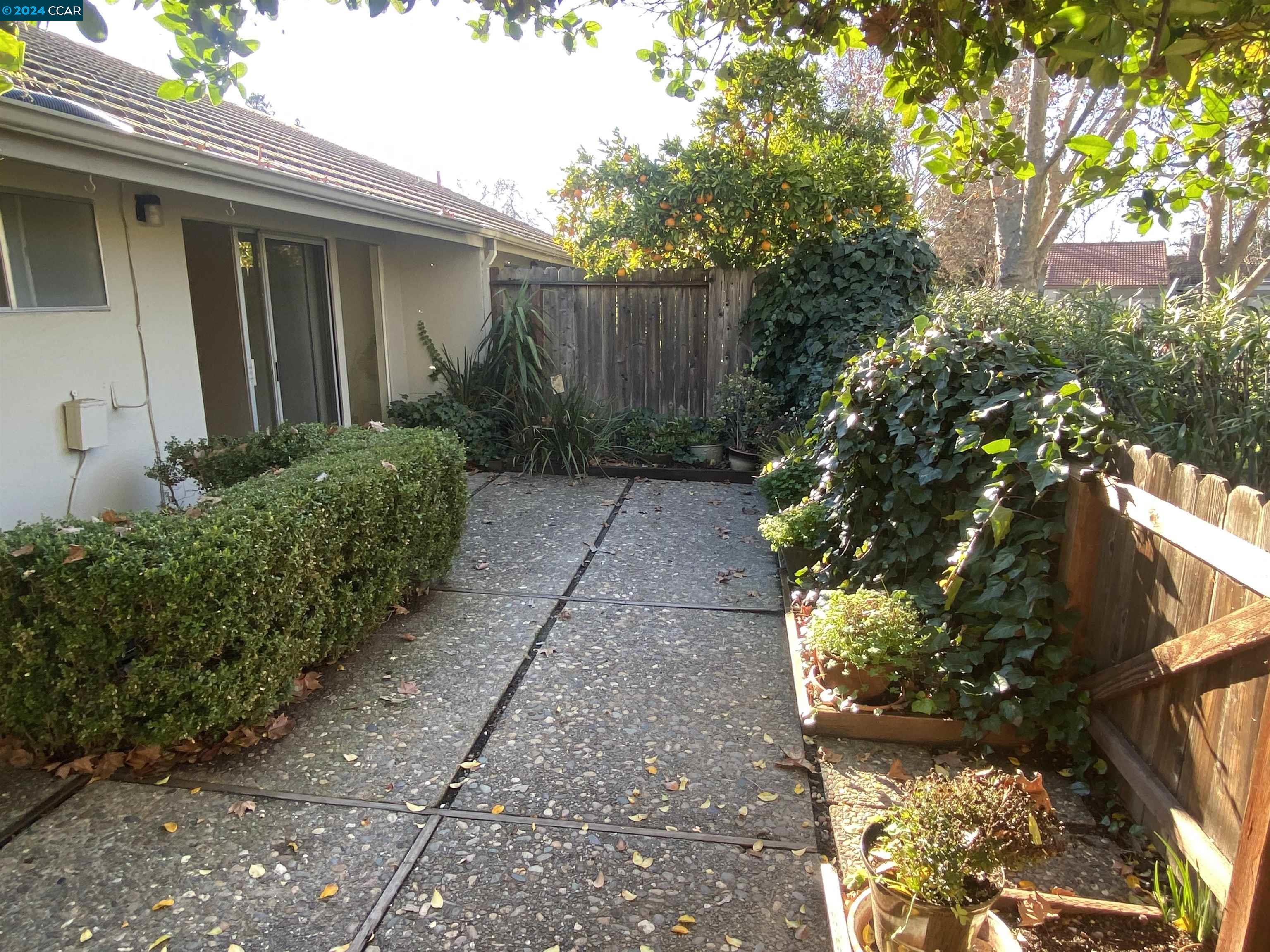 506 Tampico Walnut Creek, CA 94598 - Photo 11 of 32 a backyard of a house with lots of green space