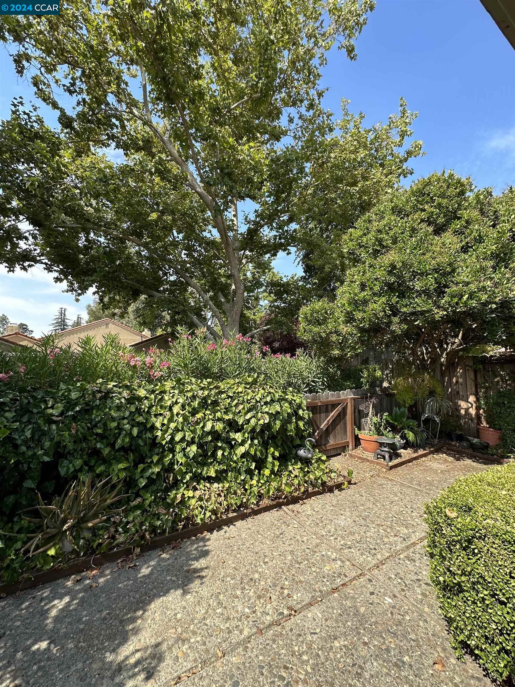 506 Tampico Walnut Creek, CA 94598 - Photo 29 of 32 a view of outdoor space and yard